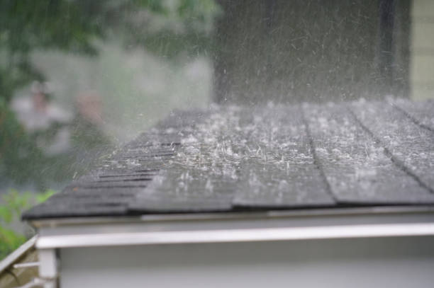 Best Metal Roofing Installation  in Kouts, IN